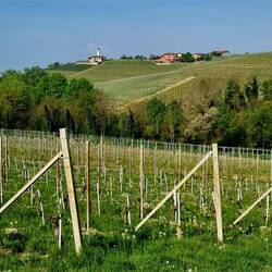 Wir starten direkt vom Camping auf unsere Weinwanderung...