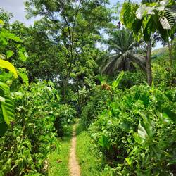 Welcome to the jungle.