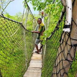 Canopy Walk in Ghana. Alles schaukelt, wackelt und klappert. 🤣🙈