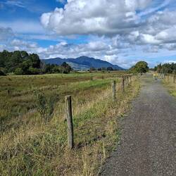Mt Te Aroha in the distance