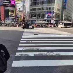 Shibuya crossing