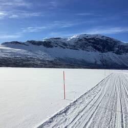 Am Nachmittag reißt der Himmel auf. Der Weg geht indess zurück an die Straße.