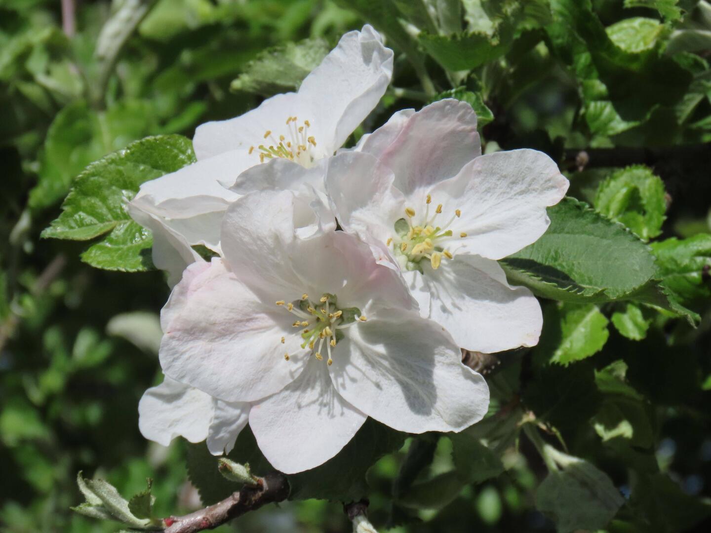 Beim Ausgang von Häfelfingen