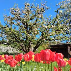 Eingang Läufelfingen