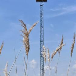 Not sure what this cage is on top of this tower.