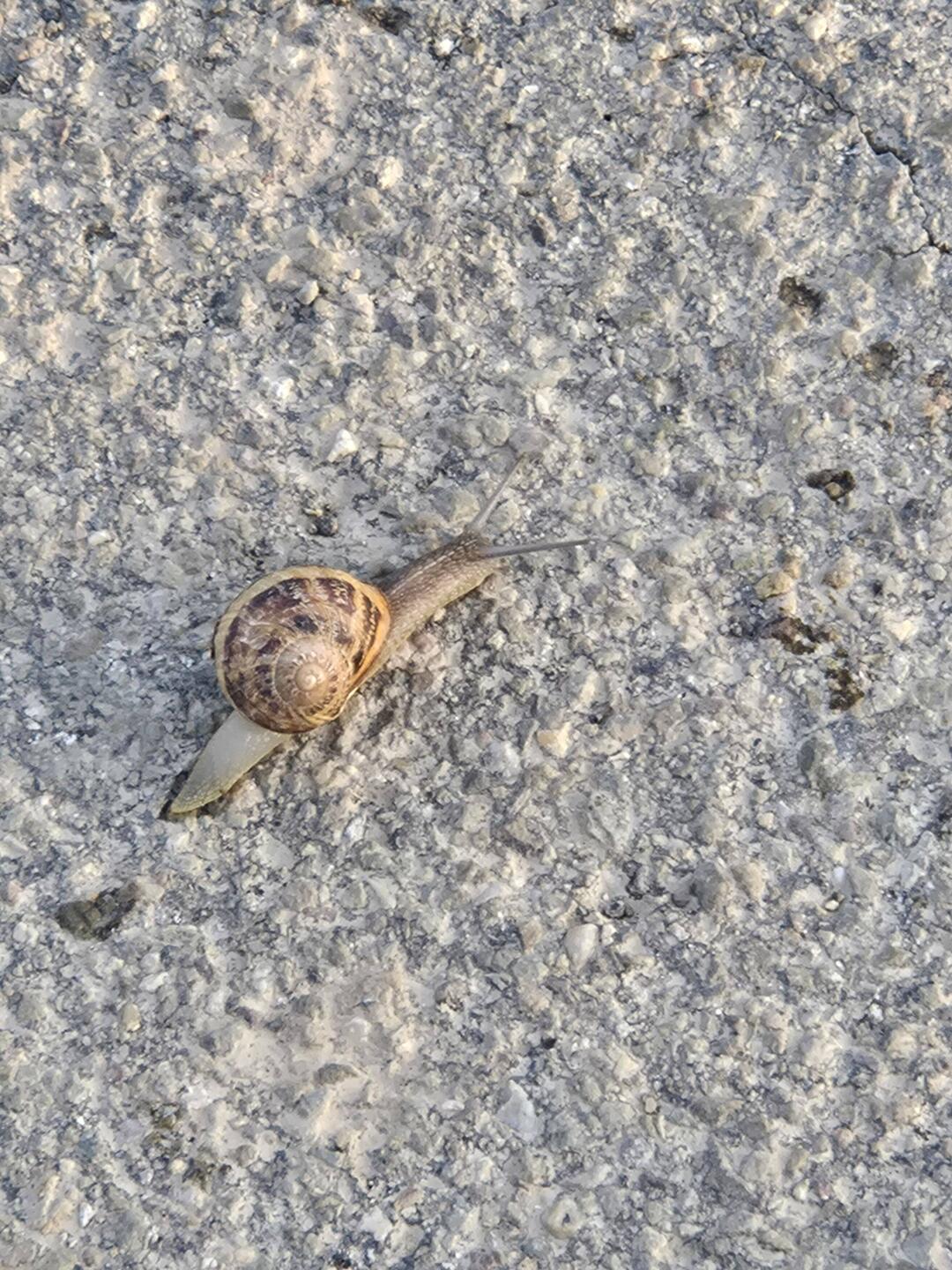 He may be faster than we are!