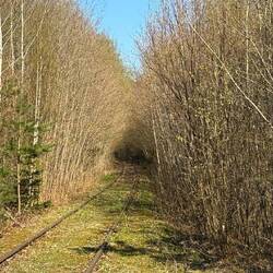 Hier rollte Hitler in seinem Zug "Amerika" zur Wolfsschanze.