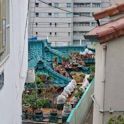 Wenn es keinen Garten gibt