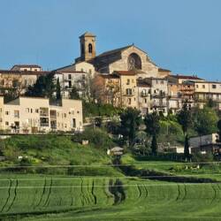 Looking back at Troia
