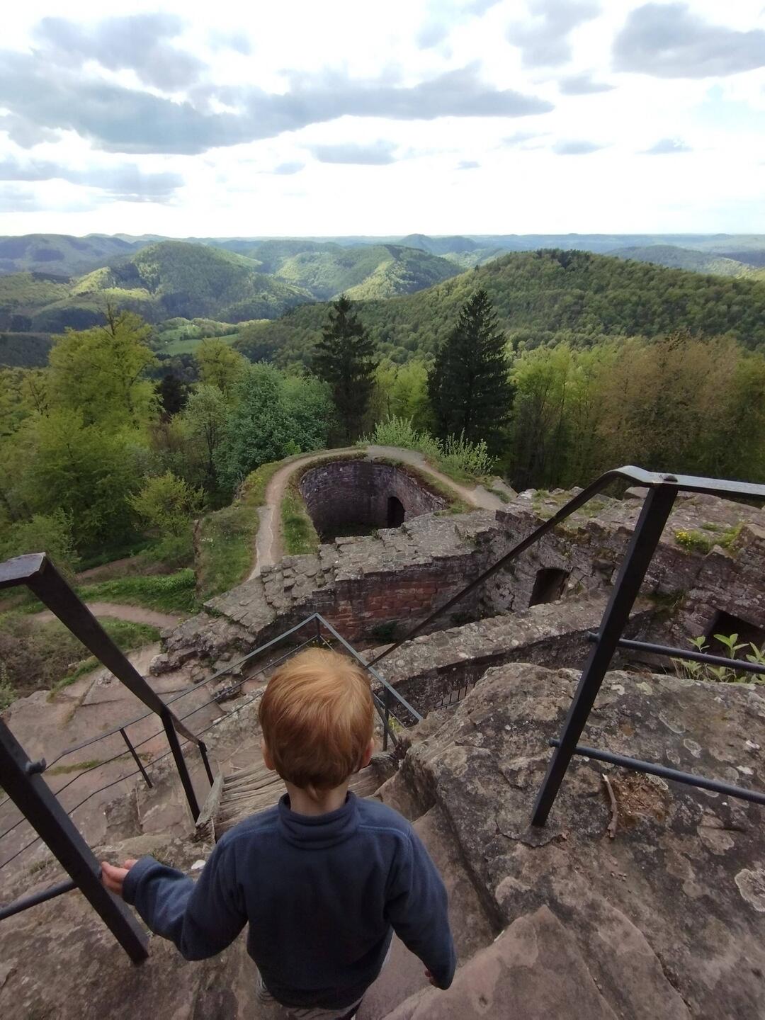 Du haut du 🏰 du Hohenbourg