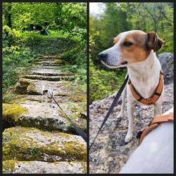 Mein kleiner Schissie 🥰