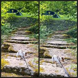 Flucht im Kriechgang