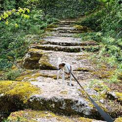 Das war wieder nix für Louie