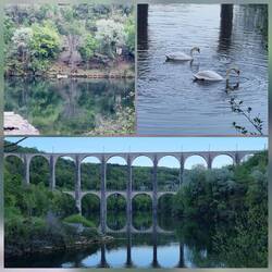 Und nun nochmal mit Schwäne und Spiegelung