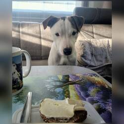 Mit Blicken Hypnose einsetzen