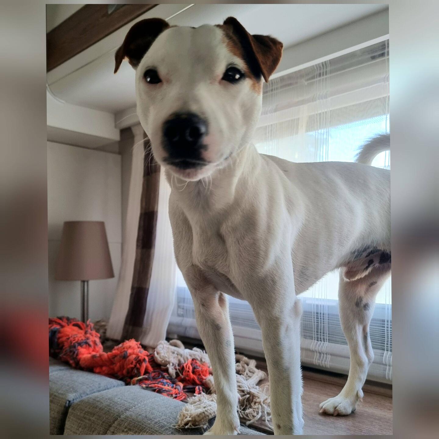 Anfang der Diskussion vom oberen Rang