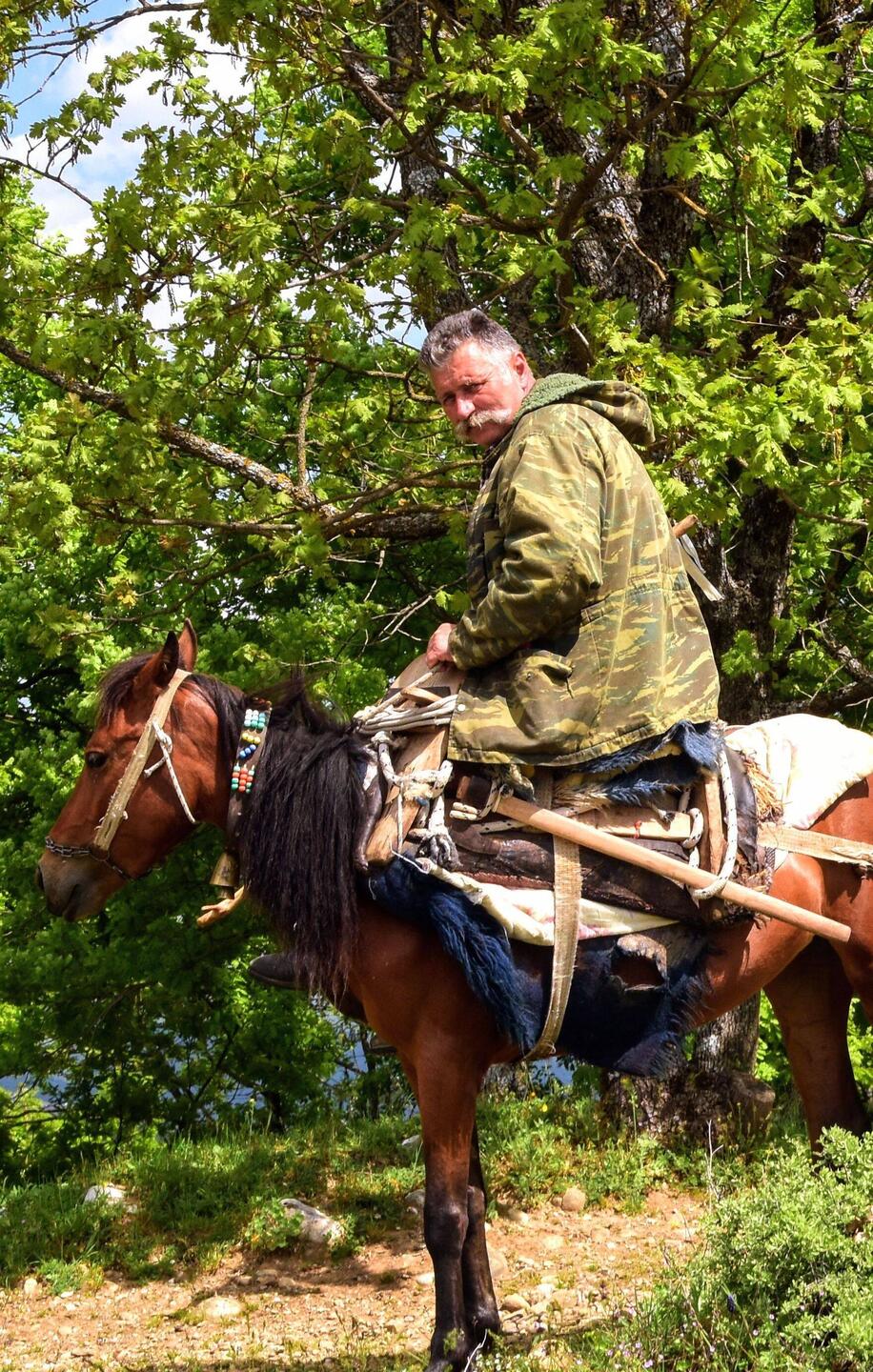 Schaf- und Ziegen-Cowboy