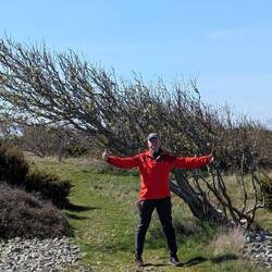 Unschwer erkennbar, aus welcher Richtung der Wind bläst