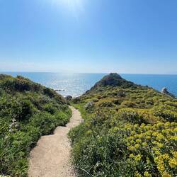 Die Wanderung zum Capo Milazzo...