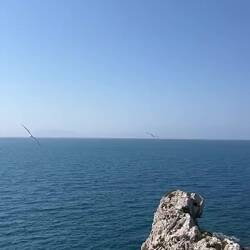 im nächsten Leben werd ich Möwe!