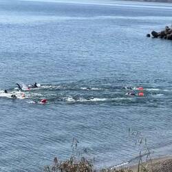 Andere hatten an diesem Morgen Größeres vor als ich...