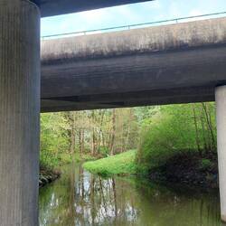 Autobahnidyll mit Reiher🤔