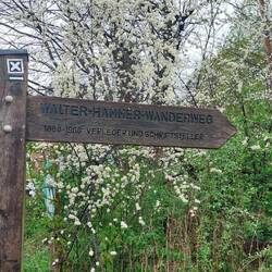 Los ging's heute auf dem Walter-Hammer-Wanderweg