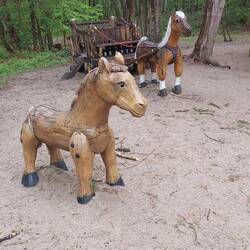 Schon gleich die ersten Tiere des Tages