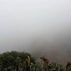 Plötzlich von Wolken umgeben