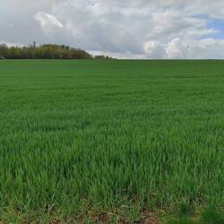 Blick nach links....