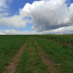 Blick gradeaus (Nordhessen - unendliche Weiten😁)