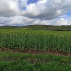 Blick nach rechts...