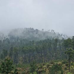 Reisewetter