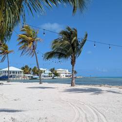 Caloosa Cove Marina, Lower Matacumbe Key