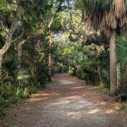 Marineland Marina trail, St. Augustine, FL
