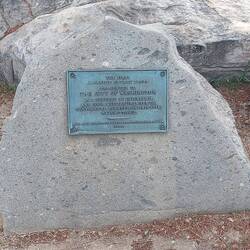 Erster Kirschblütenbaum.