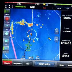 Die Zellen verstärken sich