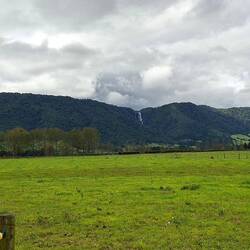 If you look carefully, you can just see Wairere Falls in the background!!