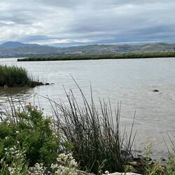 The entrance to the dock channel here has some challenging rocks to miss. Low tide right now.