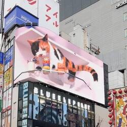 3D Katze