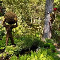 Wer findet die Schlange ?