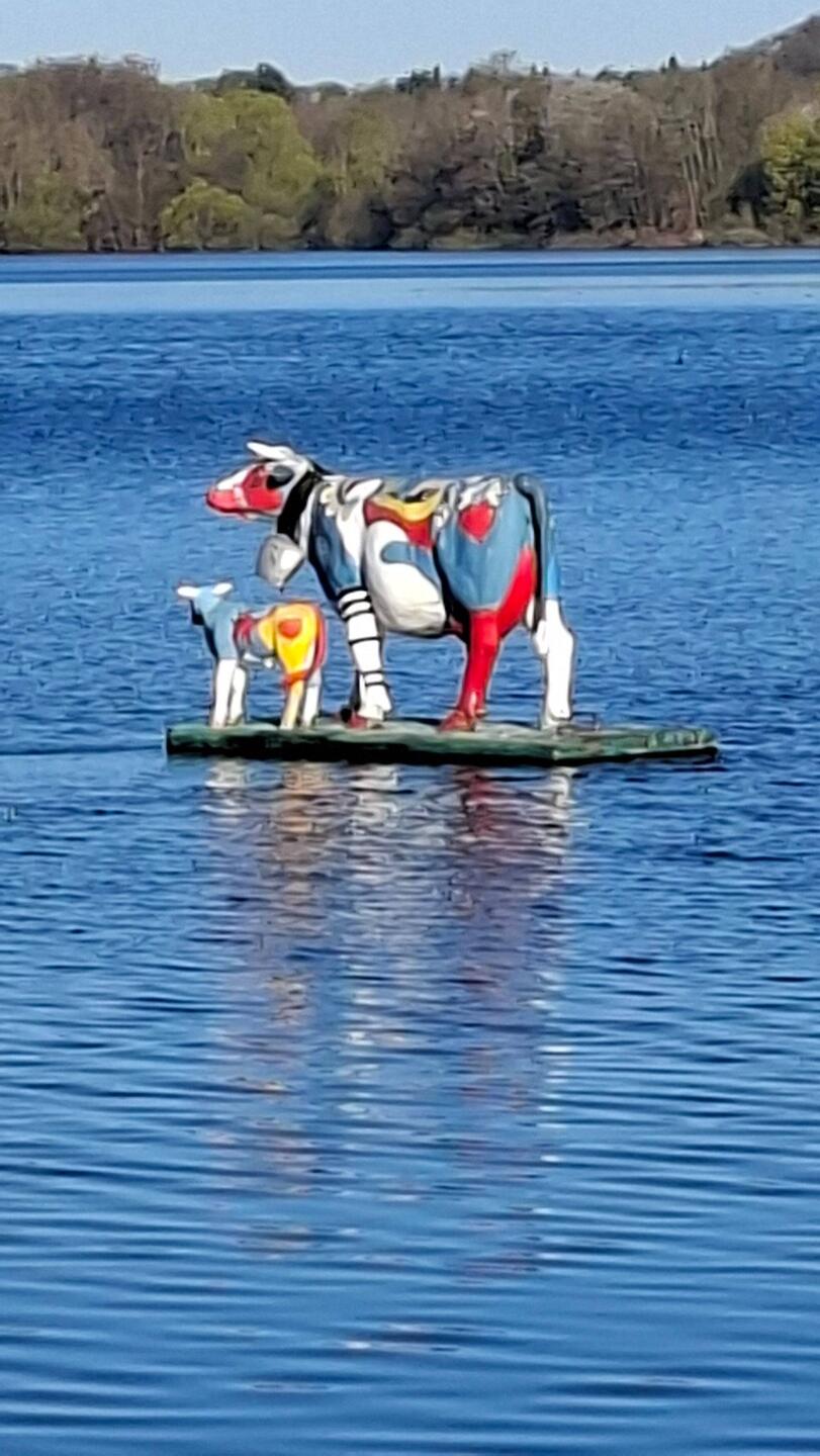 Nicht nur Jungfrauen auf dem Dieksee