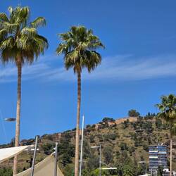 Castillo de Gibralfaro