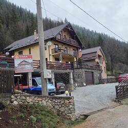 Casa Codrilor