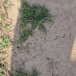 Thinking how lucky we are to be retired so we can wander where we want.