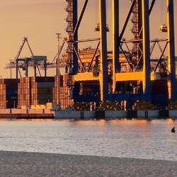 Angler im Containerhafen