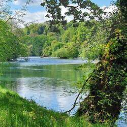 Krka = Gurk