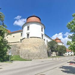 Grad Brežice