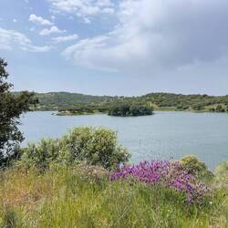 Kurzer Spaziergang bei sengender Sonne an einem Stausee