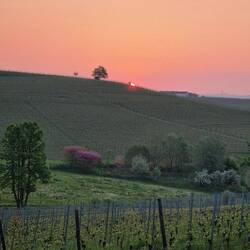 Die Sonne "güggslet" am Horizont ...